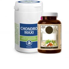 Vitamíny a liečivá pre mačky